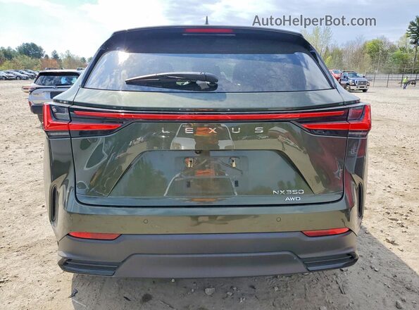 JTJGGCEZ4R2010452 2024 LEXUS NX Зеленый Вид сзади