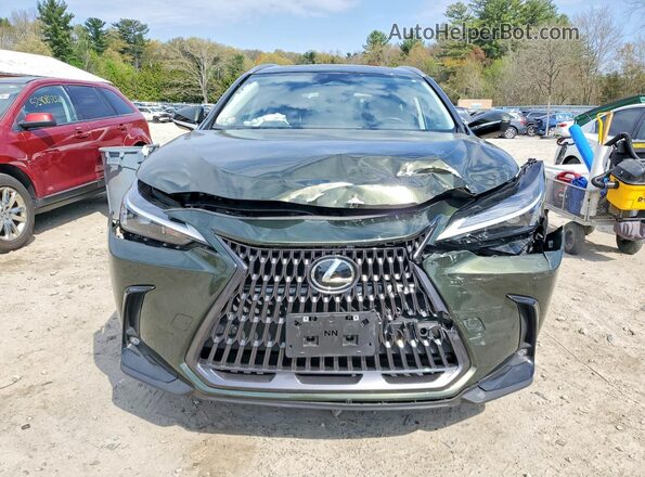 JTJGGCEZ4R2010452 2024 LEXUS NX Зеленый Вид спереди