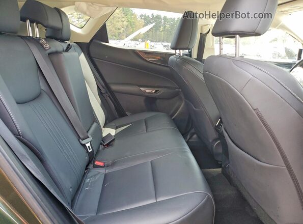 JTJGGCEZ4R2010452 2024 LEXUS NX Зеленый Вид задней части салона