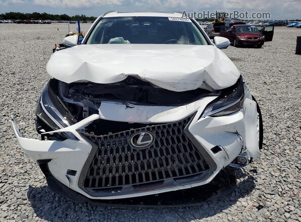 JTJGGCEZ4T2029915 2026 LEXUS NX White Դիմացի տեսք