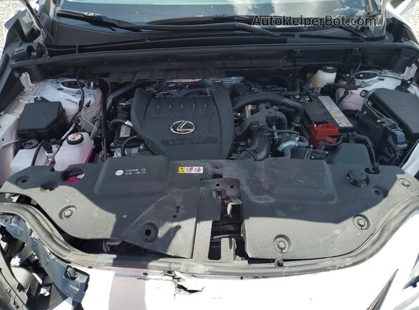 JTJGGCEZ4T2029915 2026 LEXUS NX White Սալոնի հետևի տեսք