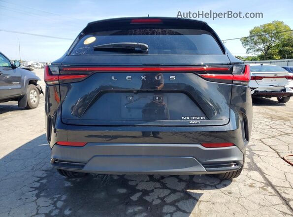 JTJGKCEZ1N5004115 2022 LEXUS NX Black Vista trasera