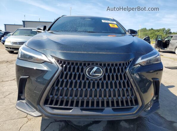 JTJGKCEZ1N5004115 2022 LEXUS NX Black Vista frontal