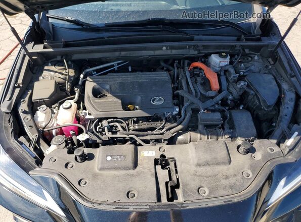 JTJGKCEZ1N5004115 2022 LEXUS NX Black Vista del compartimento del motor