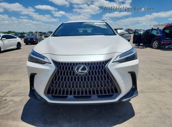 JTJGKCEZ3N5000504 2022 LEXUS NX White Widok z przodu