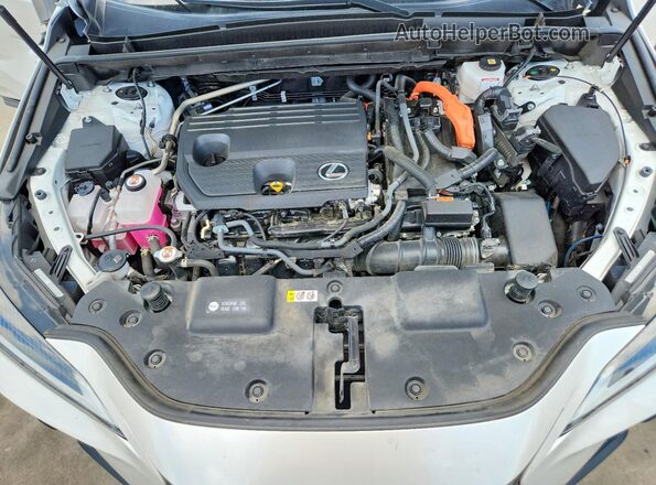 JTJGKCEZ3N5000504 2022 LEXUS NX White Widok wnętrza z tyłu