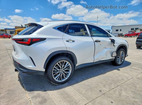 JTJGKCEZ3N5000504 2022 LEXUS NX White Tył prawy