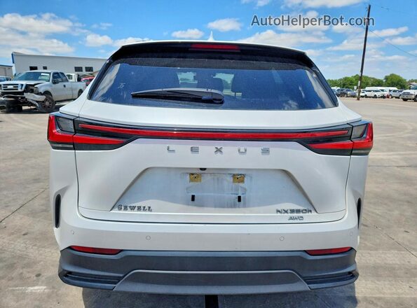 JTJGKCEZ3N5000504 2022 LEXUS NX White Widok z tyłu