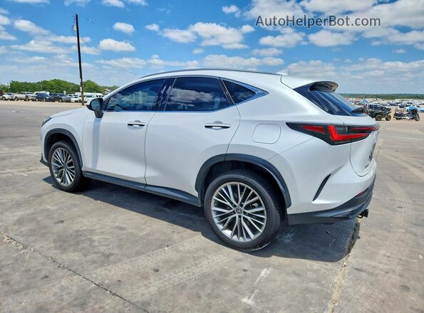 JTJGKCEZ3N5000504 2022 LEXUS NX White Tył lewy