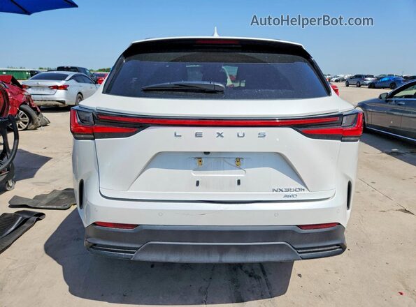 JTJGKCEZ3S2046993 2025 LEXUS NX White Widok z tyłu