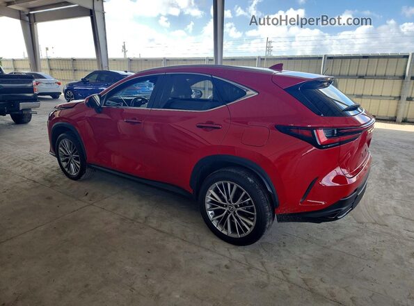 JTJGKCEZ4N2007351 2022 LEXUS NX Красный Задняя левая четверть