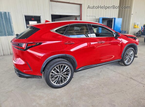 JTJGKCEZ4N2007351 2022 LEXUS NX Красный Задняя правая четверть