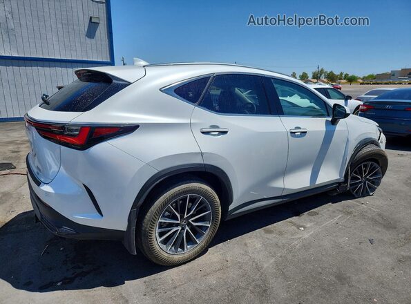 JTJGKCEZ4S5033359 2025 LEXUS NX White Задня права чверть