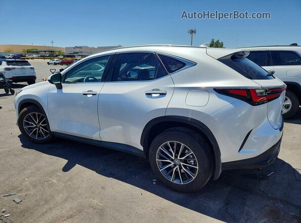 JTJGKCEZ4S5033359 2025 LEXUS NX White Задня ліва чверть