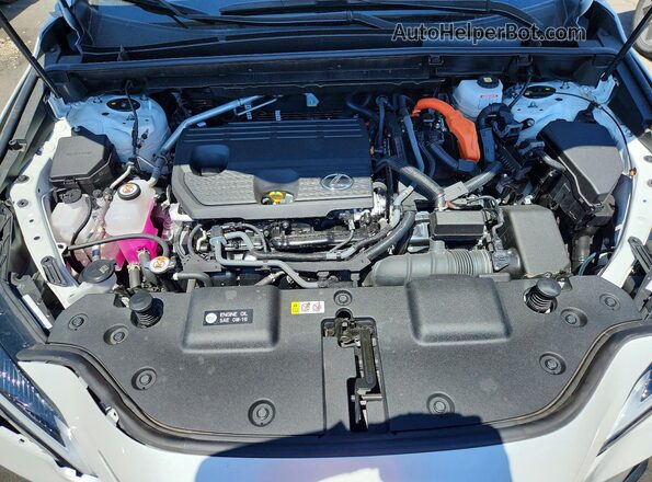 JTJGKCEZ4S5033359 2025 LEXUS NX White Вид задньої частини салону