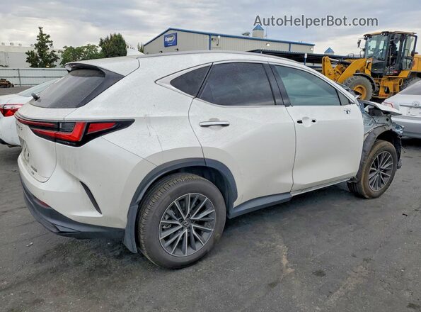 JTJGKCEZ5R5011896 2024 LEXUS NX White Tył prawy