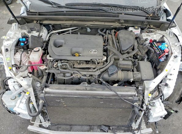 JTJGKCEZ5R5011896 2024 LEXUS NX White Widok wnętrza z tyłu
