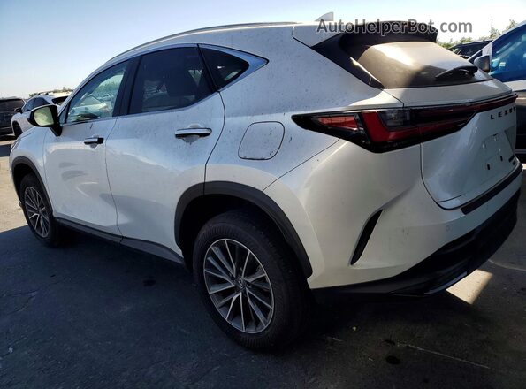 JTJGKCEZ6S2065067 2025 LEXUS NX White Հետևի ձախ