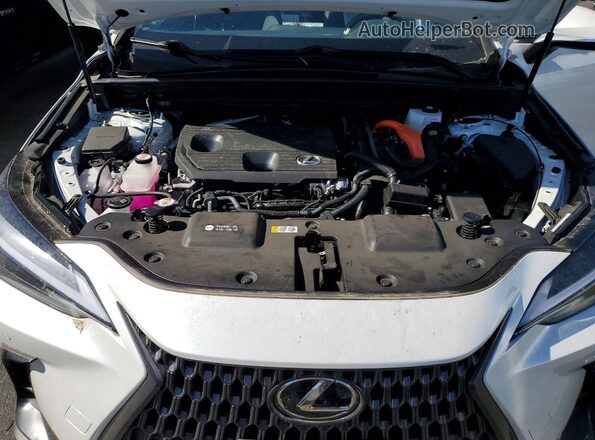 JTJGKCEZ6S2065067 2025 LEXUS NX White Շարժիչի բաժամունքի տեսք