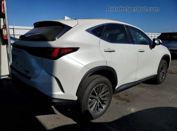 JTJGKCEZ6S2065067 2025 LEXUS NX White Հետևի աջ