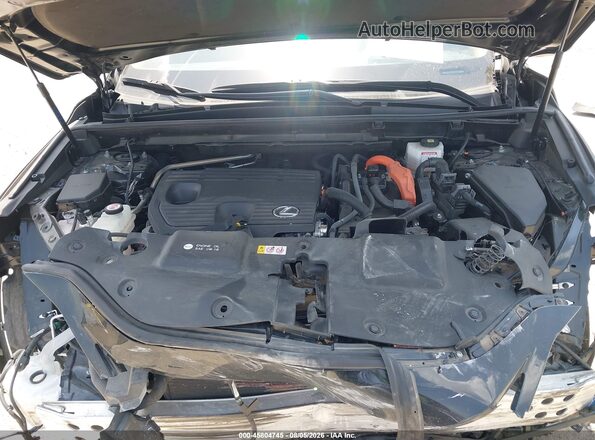 JTJGKCEZ7R5018168 2024 LEXUS NX 350H Black Vista trasera