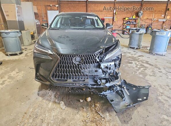 JTJHKCFZ1S2042329 2025 LEXUS NX Black Widok z przodu