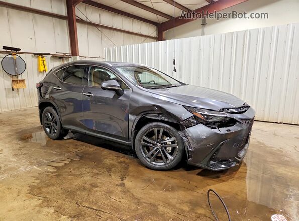 JTJHKCFZXS2058660 2025 LEXUS NX Gray Передня права чверть