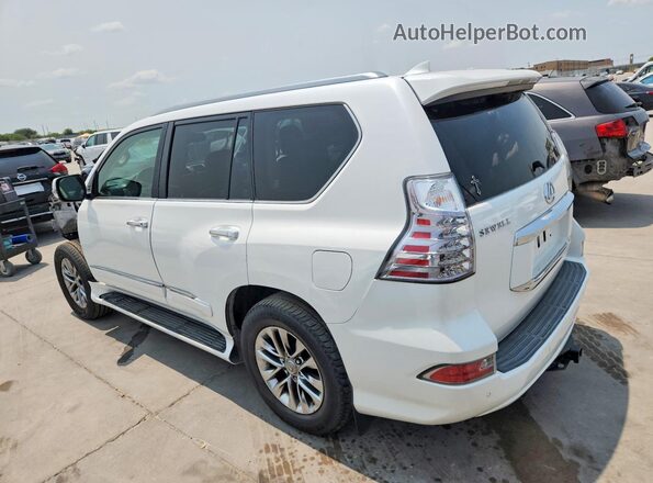 JTJJM7FX8H5154019 2017 LEXUS GX White Rear left