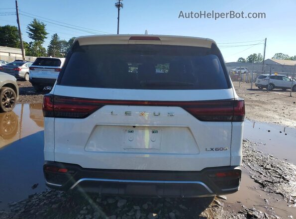 JTJMB7CX0S4077828 2025 LEXUS LX White Вид ззаду