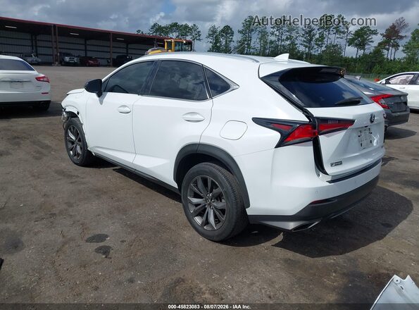 JTJSARBZ3M2202277 2021 LEXUS NX 300 White Tył lewy