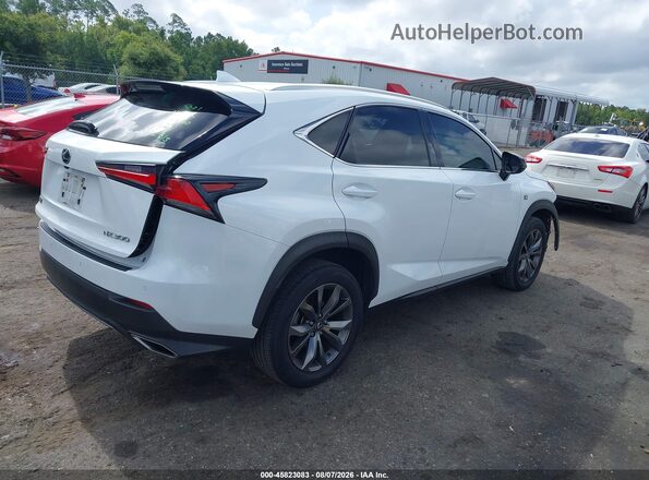 JTJSARBZ3M2202277 2021 LEXUS NX 300 White Tył prawy
