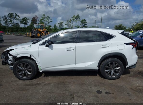 JTJSARBZ3M2202277 2021 LEXUS NX 300 White Widok wnętrza 360 stopni