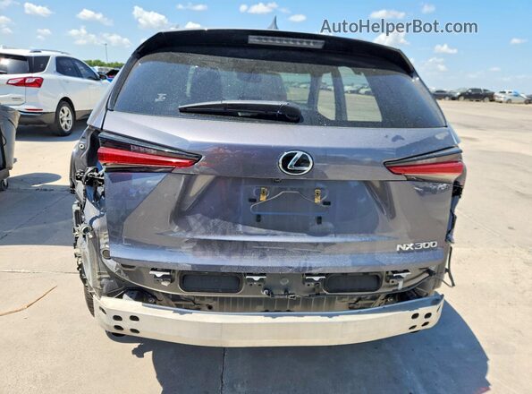 JTJSARBZ6M2203178 2021 LEXUS NX Серый Вид сзади