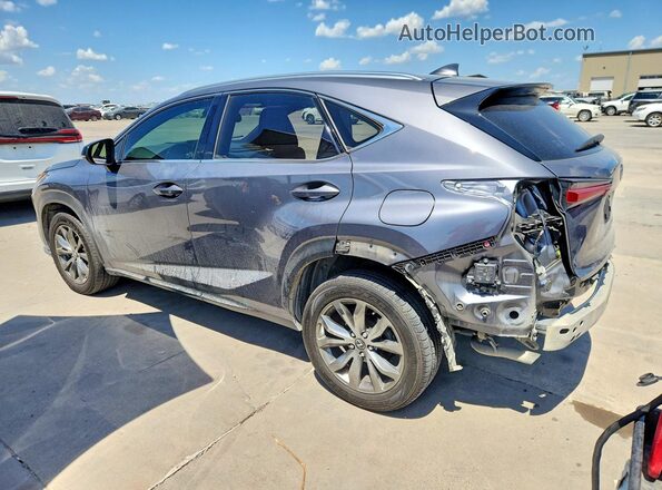 JTJSARBZ6M2203178 2021 LEXUS NX Серый Задняя левая четверть
