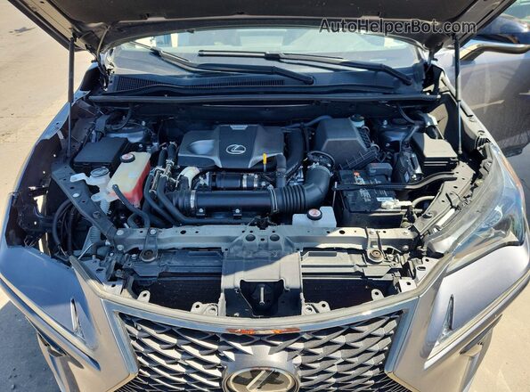 JTJSARBZ6M2203178 2021 LEXUS NX Серый Вид подкапотного пространства