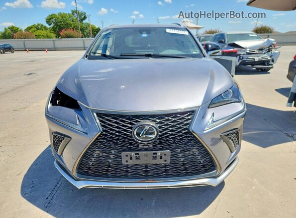 JTJSARBZ6M2203178 2021 LEXUS NX Серый Вид спереди