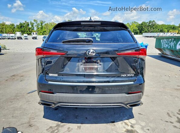 JTJSARBZ8L5005523 2020 LEXUS NX Черный Вид сзади