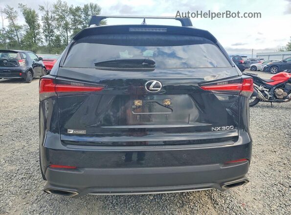 JTJSARBZ9L5004249 2020 LEXUS NX Черный Вид сзади