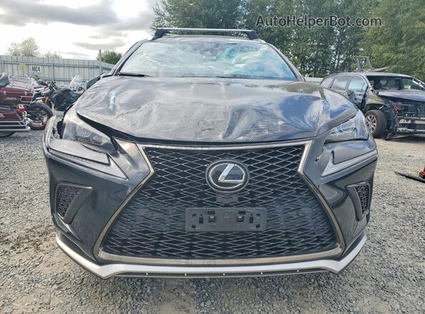 JTJSARBZ9L5004249 2020 LEXUS NX Черный Вид спереди