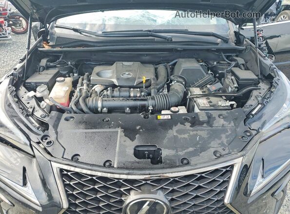 JTJSARBZ9L5004249 2020 LEXUS NX Черный Вид подкапотного пространства