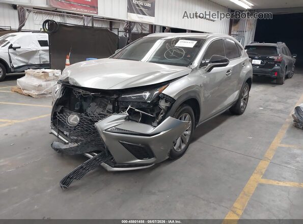 JTJSARBZ9M2183069 2021 LEXUS NX 300 Gray Vista tres cuartos delantera izquierda