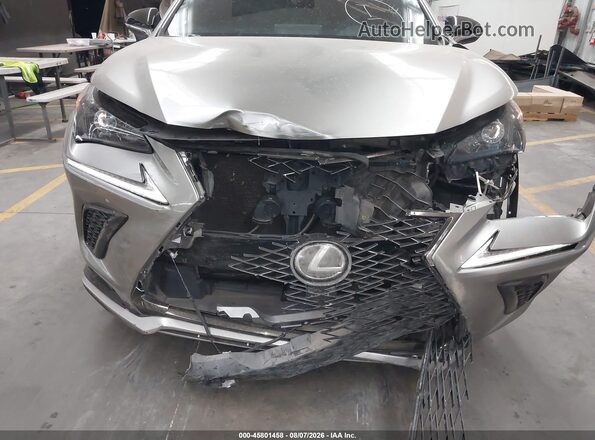 JTJSARBZ9M2183069 2021 LEXUS NX 300 Gray Vista frontal