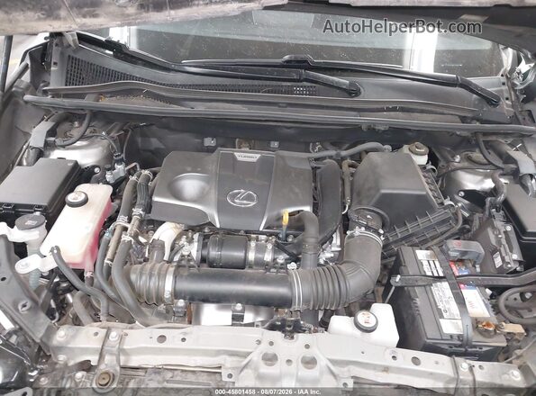 JTJSARBZ9M2183069 2021 LEXUS NX 300 Gray Vista trasera