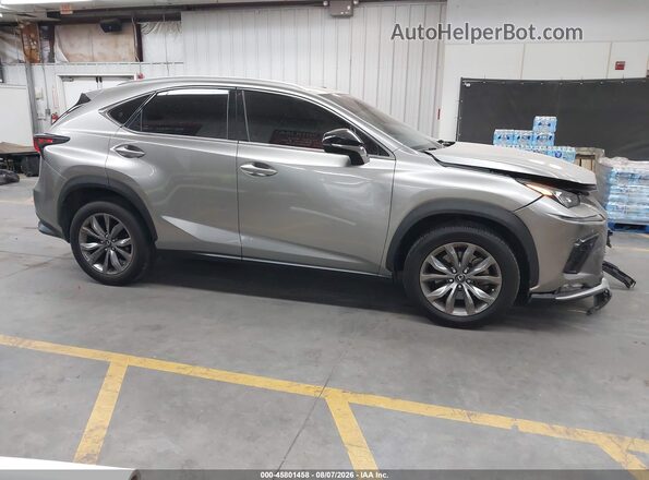 JTJSARBZ9M2183069 2021 LEXUS NX 300 Gray Vista interior trasera