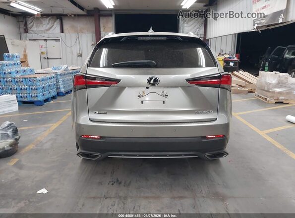 JTJSARBZ9M2183069 2021 LEXUS NX 300 Gray 