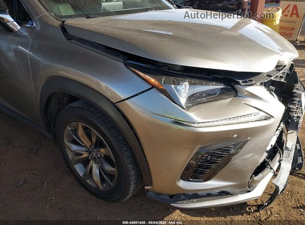 JTJSARBZ9M2183069 2021 LEXUS NX 300 Gray 