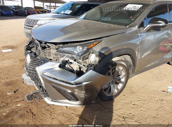 JTJSARBZ9M2183069 2021 LEXUS NX 300 Gray 