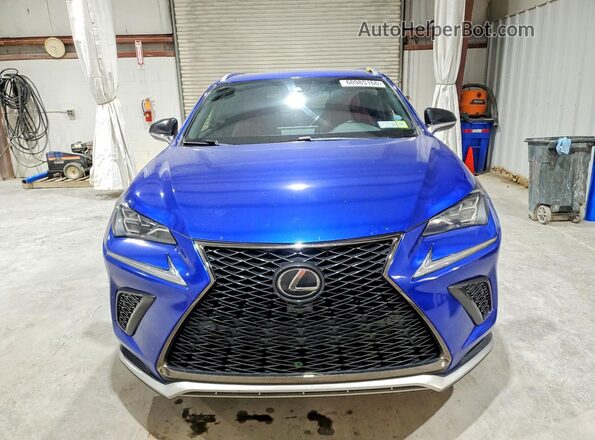 JTJSARDZ0L2226127 2020 LEXUS NX Blue წინა ხედი