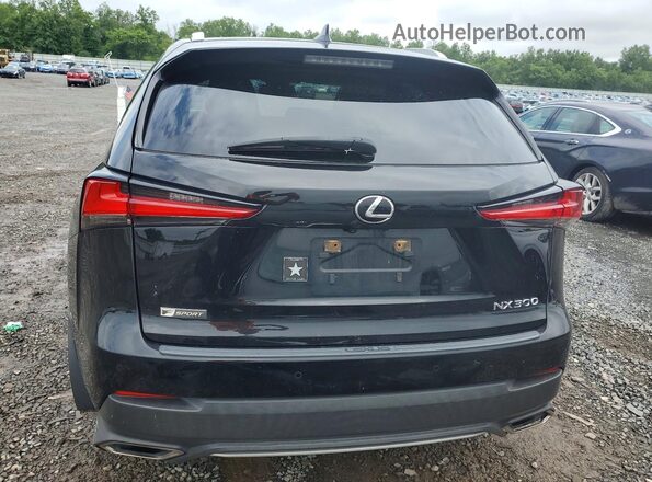 JTJSARDZ1L5003075 2020 LEXUS NX Black Հետևի տեսք