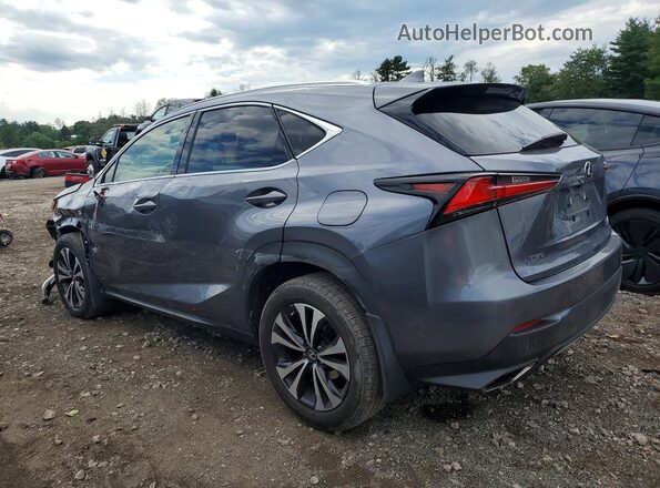 JTJSARDZ4M2256152 2021 LEXUS NX Серый Задняя левая четверть